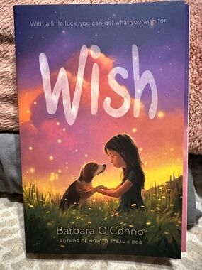 Wish by Barbara O'Connor - Purple & Orange Illustrated Hardcover